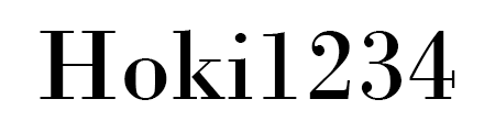Hoki1234