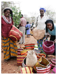 途上国支援について