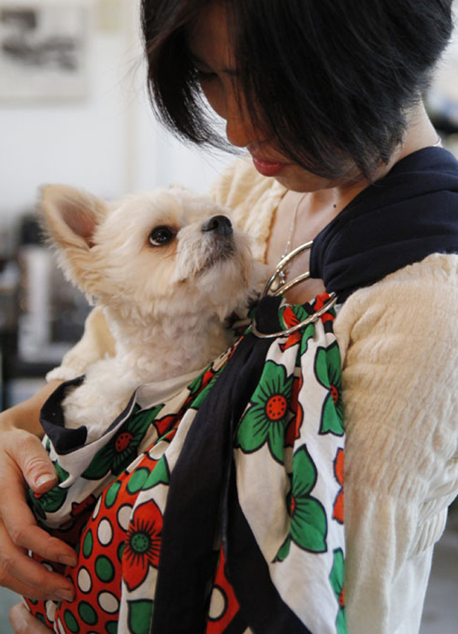 ペットキャリー